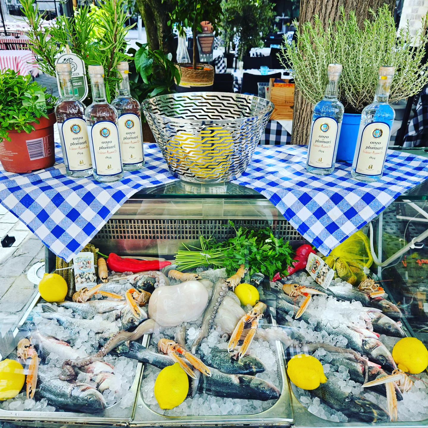 Verse vis en ouzo